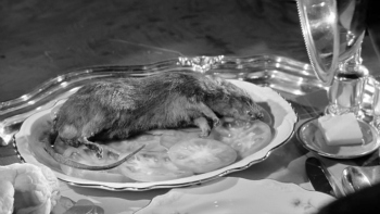 whateverhappenedtobabyjane-rat